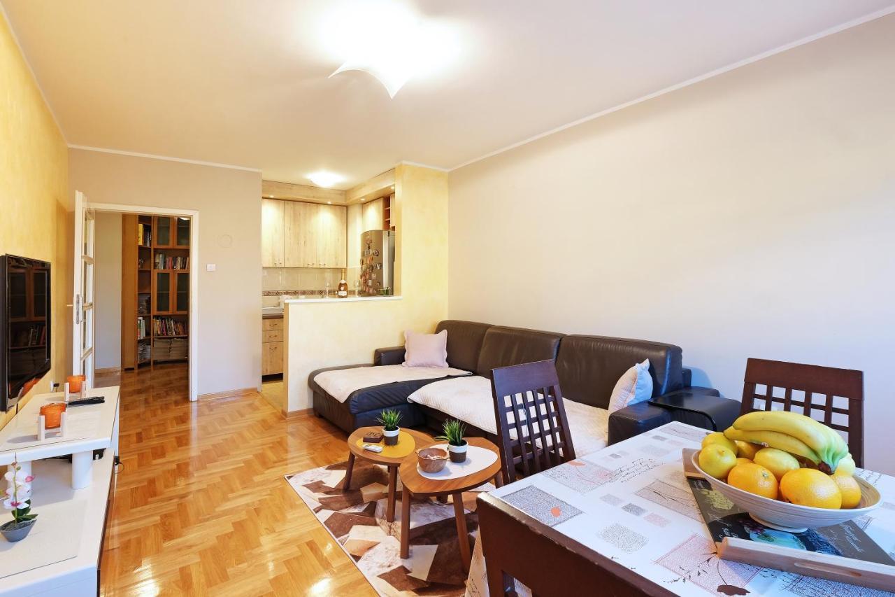 Sky City View Apartment & Big Terrace Belgrad Dış mekan fotoğraf